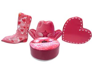 Rodeo Cowgirl 4 Piece Soft Play Set